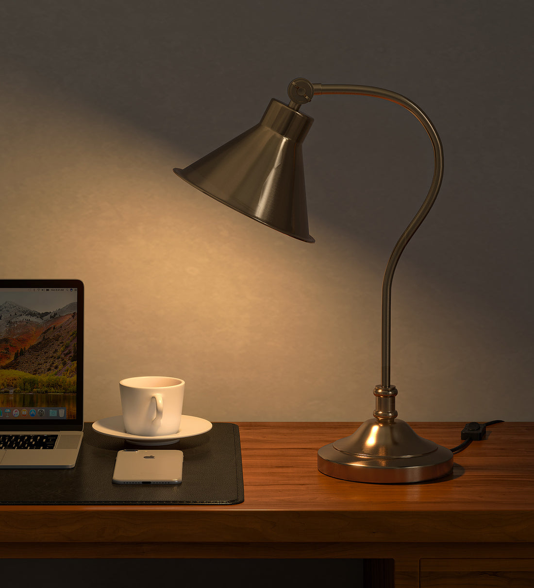 Study Desk Office Reading Curved Table Lamp Brass Antique Finish with Adjustable Head Shade