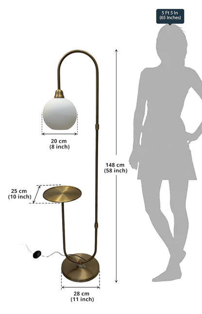 Modern Shelf Floor Lamp with Frosted Globe