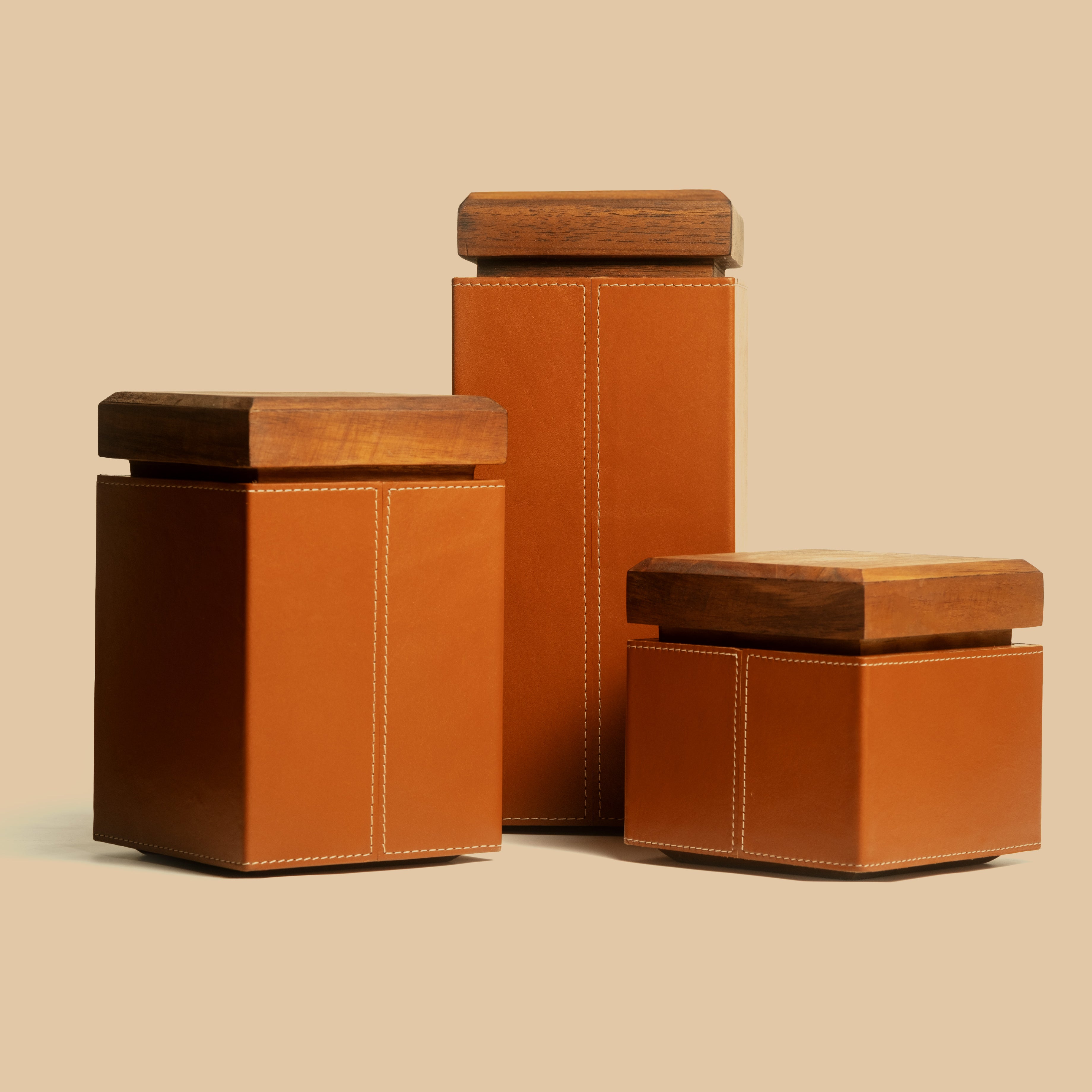 Sepia Homes