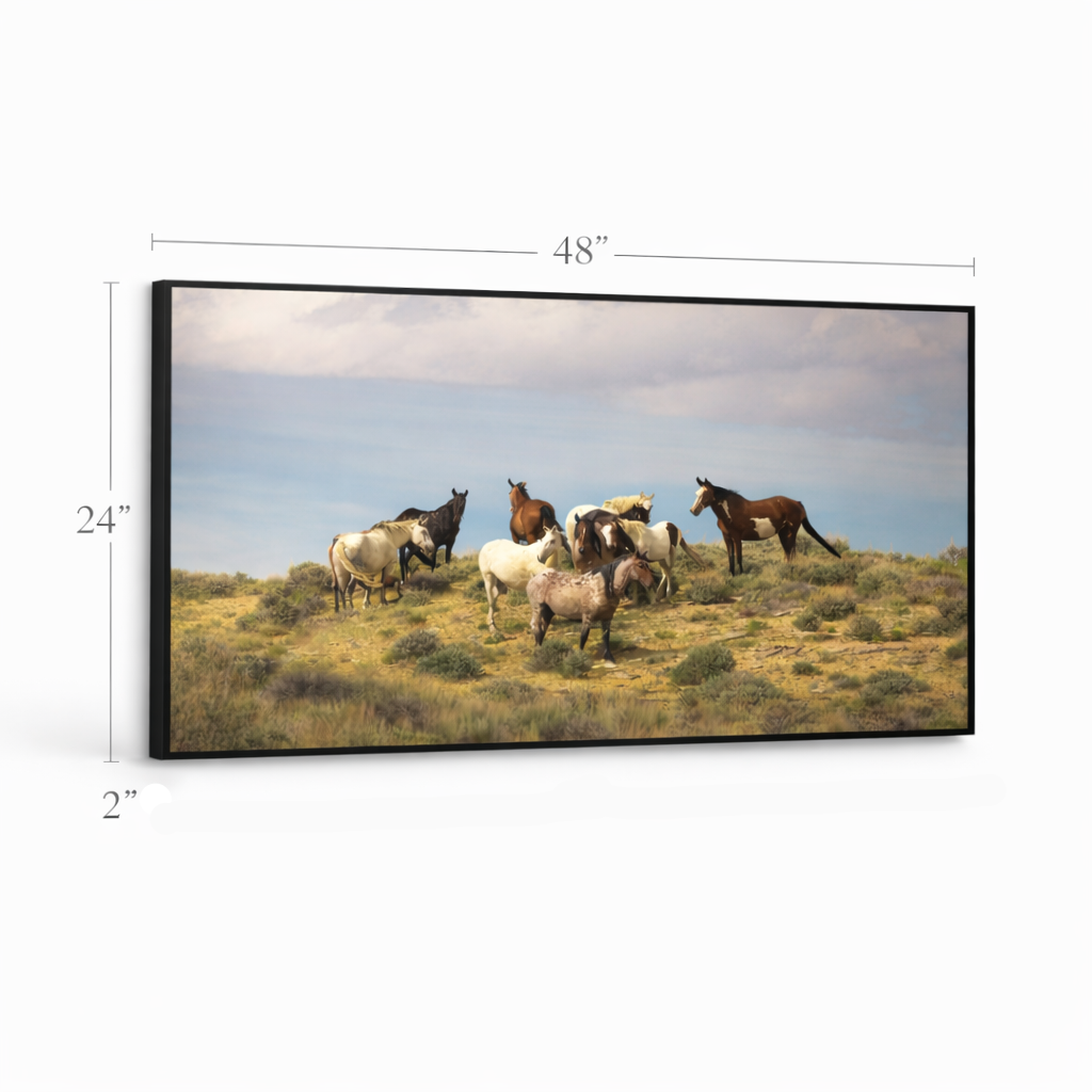 Wild Horizon – Horse Landscape Canvas Wall Art 48x24