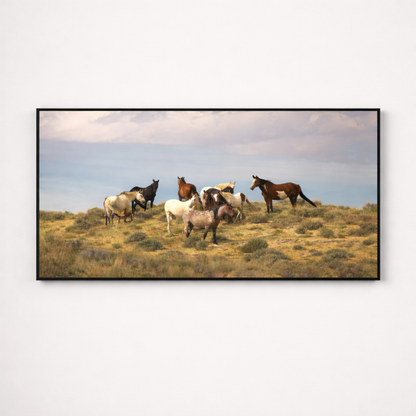 Wild Horizon – Horse Landscape Canvas Wall Art 48x24